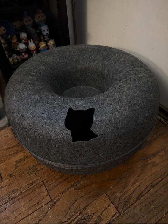Other - Cattasaurus size large cat bed and tunnel
